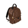 Louis Vuitton Palm Springs Backpack PM