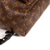 Louis Vuitton Palm Springs Backpack PM